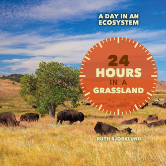 24 Hours in a Grassland, PDF eBook