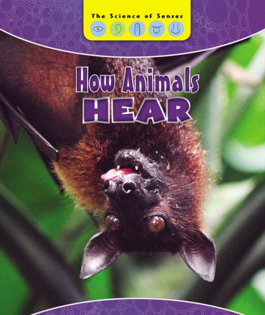 How Animals Hear, PDF eBook