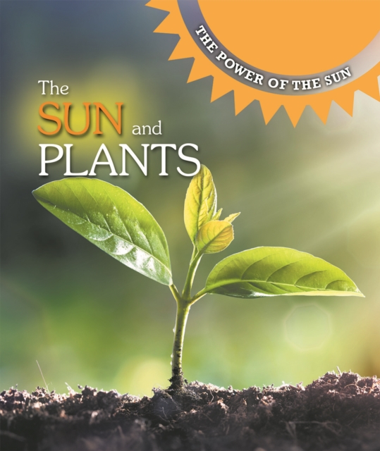 The Sun and Plants, PDF eBook