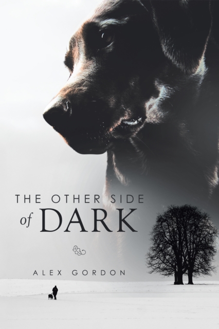 The Other Side of Dark, EPUB eBook