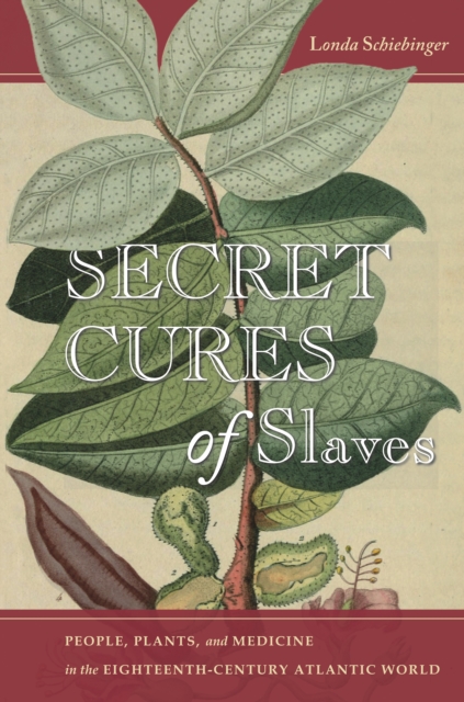 Secret Cures of Slaves : People, Plants, and Medicine in the Eighteenth-Century Atlantic World, Hardback Book