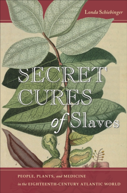 Secret Cures of Slaves : People, Plants, and Medicine in the Eighteenth-Century Atlantic World, EPUB eBook