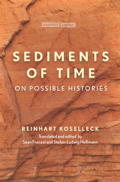 Sediments of Time : On Possible Histories, EPUB eBook