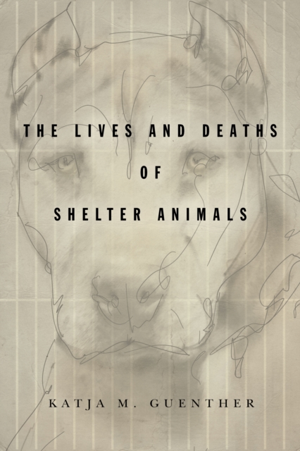 The Lives and Deaths of Shelter Animals : The Lives and Deaths of Shelter Animals, Hardback Book