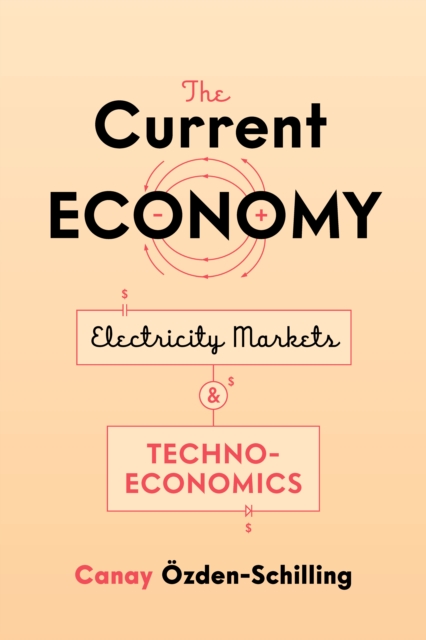 The Current Economy : Electricity Markets and Techno-Economics, Hardback Book