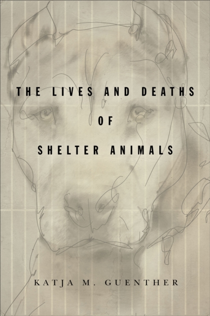 The Lives and Deaths of Shelter Animals : The Lives and Deaths of Shelter Animals, EPUB eBook
