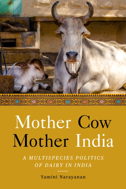 Mother Cow, Mother India : A Multispecies Politics of Dairy in India, EPUB eBook