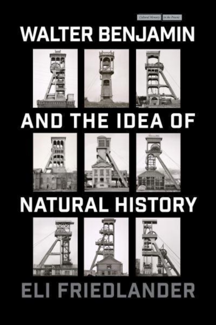 Walter Benjamin and the Idea of Natural History, Paperback / softback Book