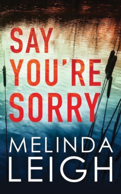 Say You're Sorry, Paperback / softback Book