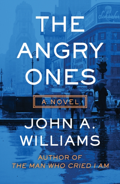 The Angry Ones : A Novel, EPUB eBook