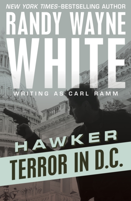 Terror in D.C., Paperback / softback Book