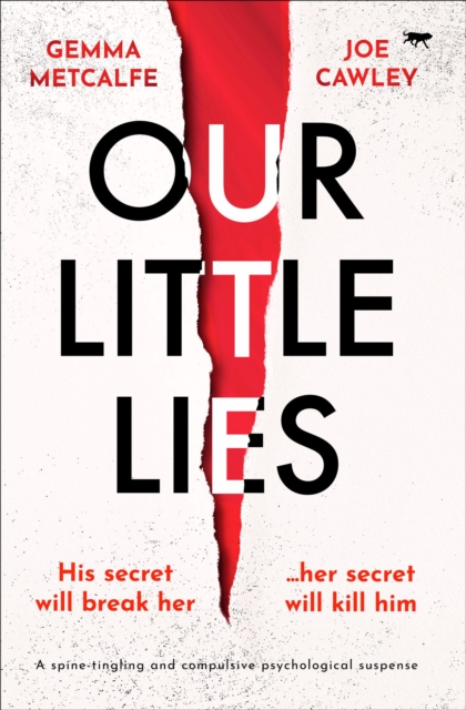 Our Little Lies, EPUB eBook