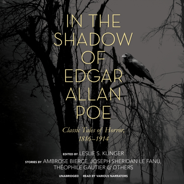 In the Shadow of Edgar Allan Poe, eAudiobook MP3 eaudioBook