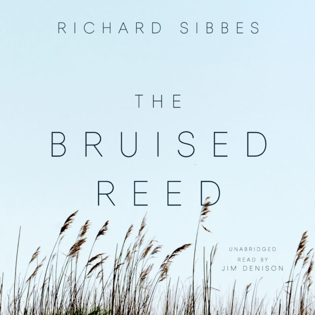 The Bruised Reed, eAudiobook MP3 eaudioBook