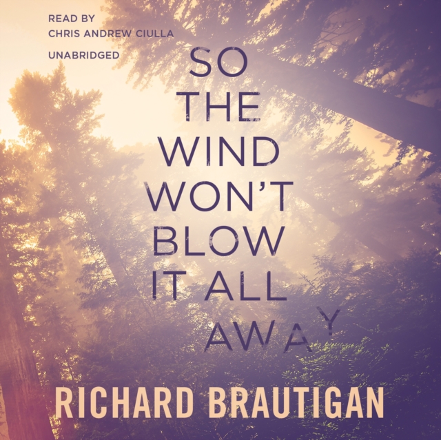 So the Wind Won't Blow It All Away, eAudiobook MP3 eaudioBook