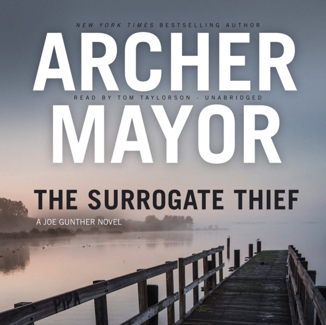 The Surrogate Thief, eAudiobook MP3 eaudioBook