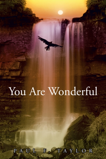 You Are Wonderful : A Devotional Insight into the Names and Descriptions of God and Jesus in the Bible, EPUB eBook