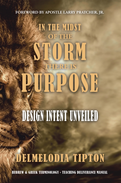 In the Midst of the Storm There Is Purpose : Design Intent Unveiled, EPUB eBook