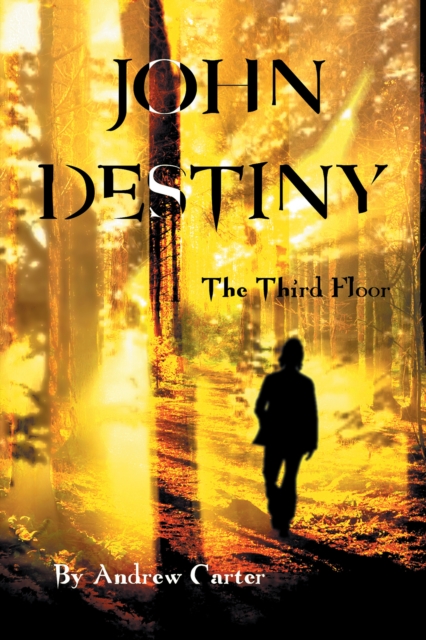 John Destiny : The Third Floor, EPUB eBook