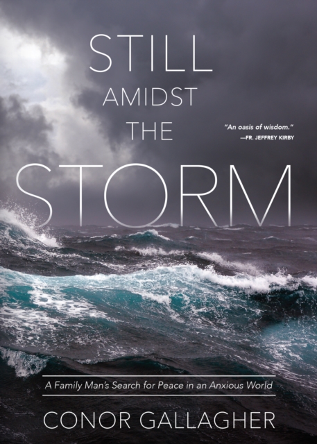 Still Amidst the Storm, EPUB eBook