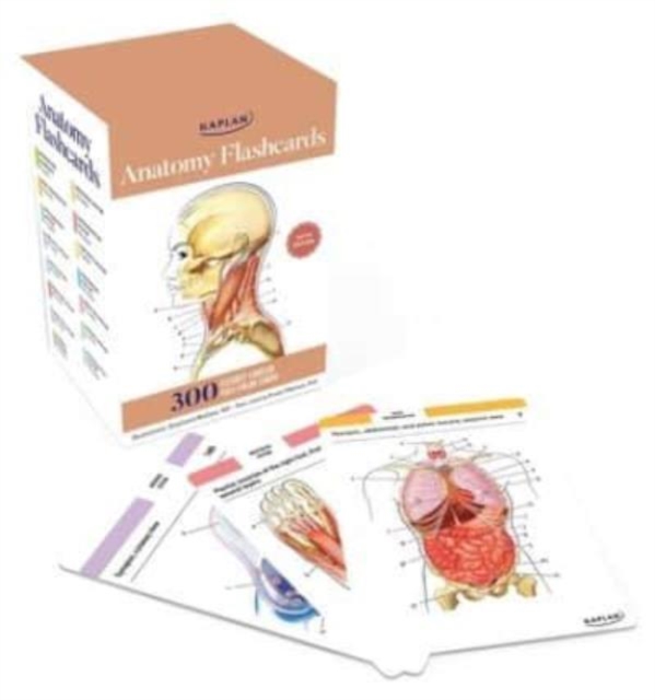 Anatomy Flashcards: 300 Flashcards with Anatomically Precise Drawings and Exhaustive Descriptions, Cards Book