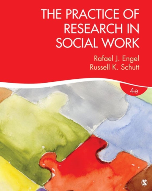 The Practice of Research in Social Work, Paperback / softback Book