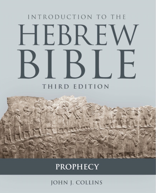 Introduction to the Hebrew Bible : Prophecy, EPUB eBook