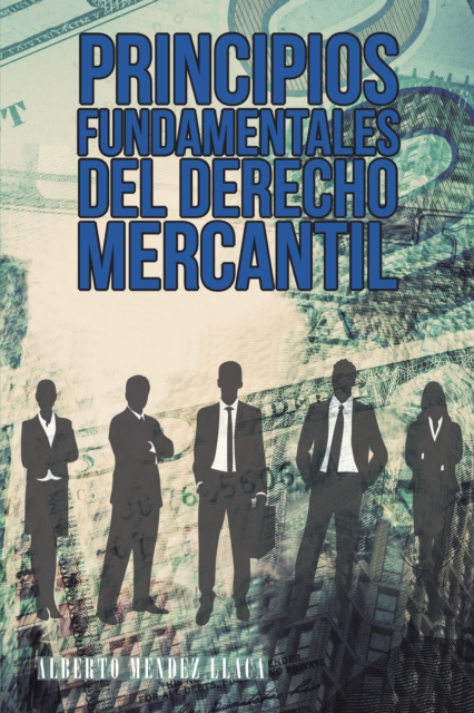 Principios Fundamentales Del Derecho Mercantil : Colision Entre Equidad Y Libertad, EPUB eBook