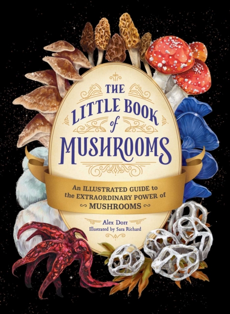 The Little Book of Mushrooms : An Illustrated Guide to the Extraordinary Power of Mushrooms, EPUB eBook