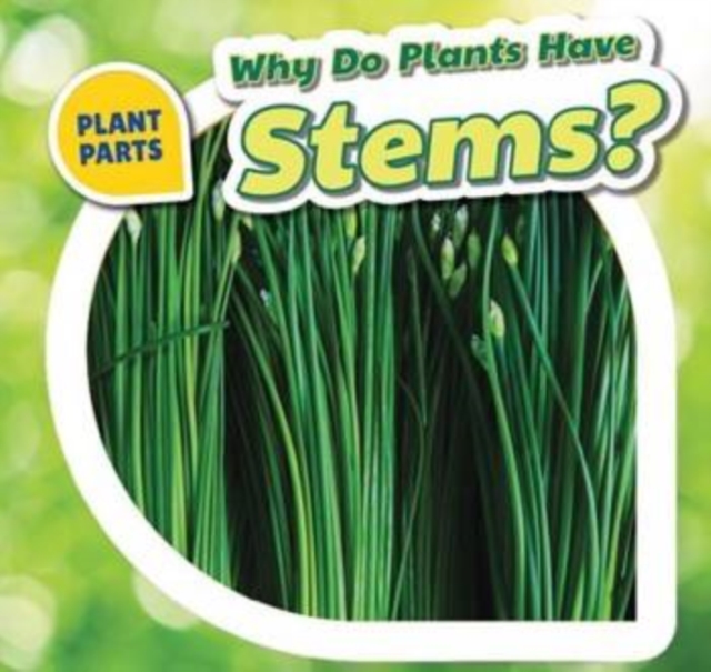 Why Do Plants Have Stems?, PDF eBook