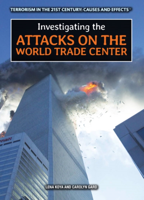 Investigating the Attacks on the World Trade Center, PDF eBook