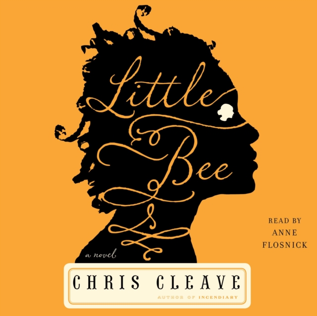Little Bee : A Novel, eAudiobook MP3 eaudioBook