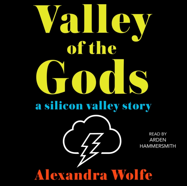 The Valley of the Gods : A Silicon Valley Story, eAudiobook MP3 eaudioBook