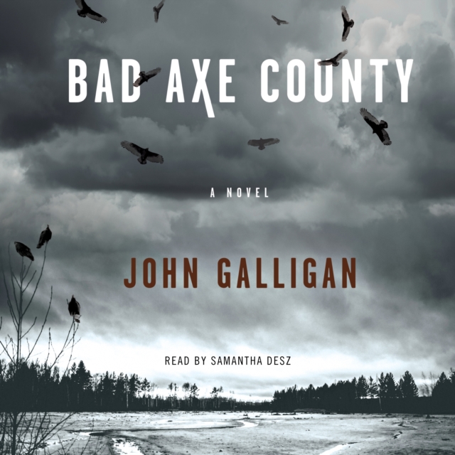 Bad Axe County : A Novel, eAudiobook MP3 eaudioBook