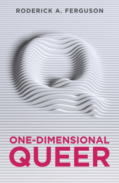 One-Dimensional Queer, EPUB eBook