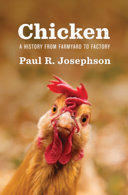 Chicken : A History from Farmyard to Factory, EPUB eBook