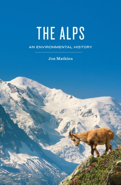 The Alps : An Environmental History, Hardback Book