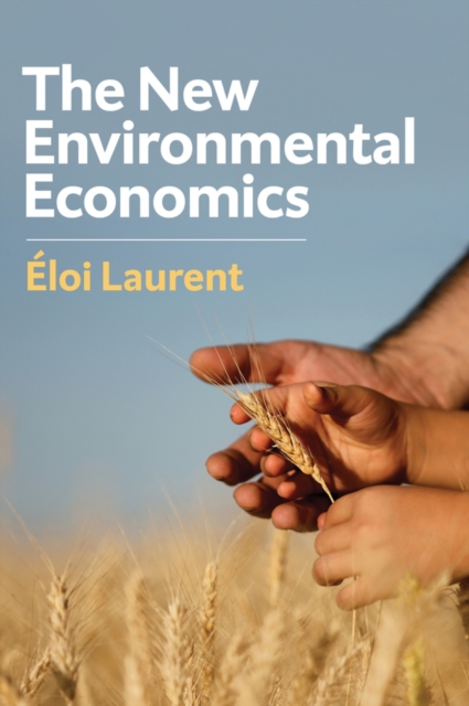 The New Environmental Economics : Sustainability and Justice, Hardback Book