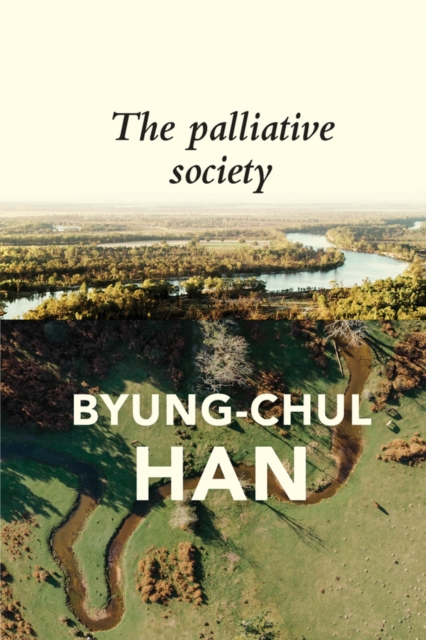 The Palliative Society : Pain Today, Hardback Book