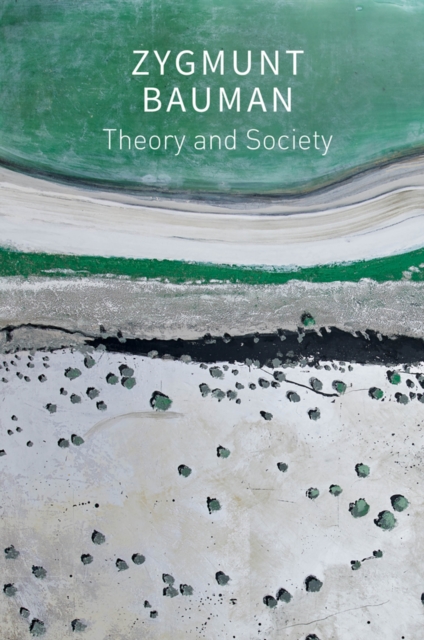 Theory and Society : Selected Writings, Paperback / softback Book