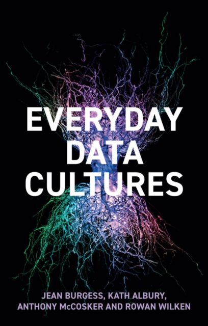 Everyday Data Cultures, PDF eBook