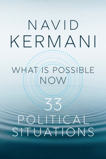 What is Possible Now : 33 Political Situations, Hardback Book