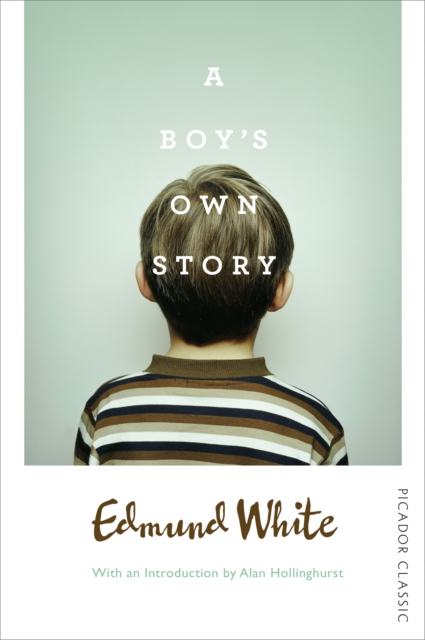 A Boy's Own Story, EPUB eBook
