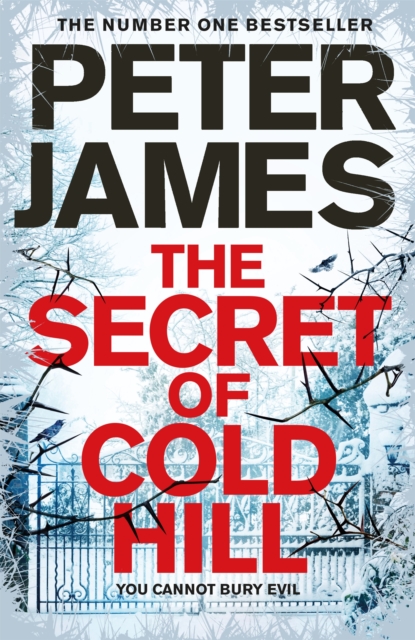 The Secret of Cold Hill, Hardback Book