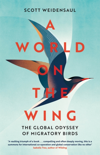 A World on the Wing : The Global Odyssey of Migratory Birds, Hardback Book