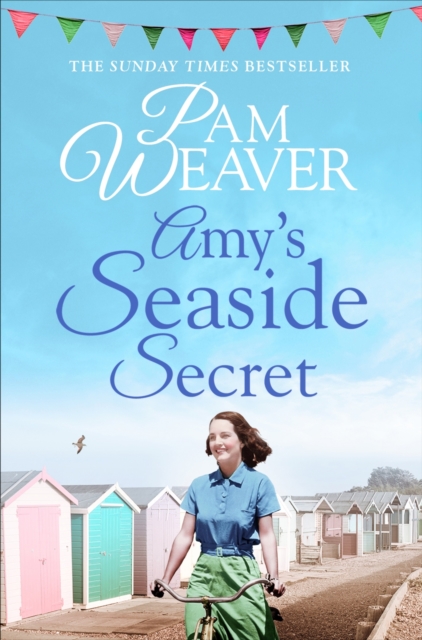 Amy's Seaside Secret, EPUB eBook