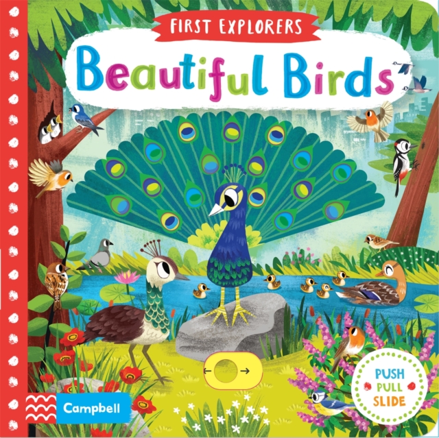 Beautiful Birds, Board book Book
