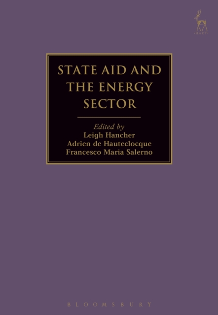 State Aid and the Energy Sector, PDF eBook