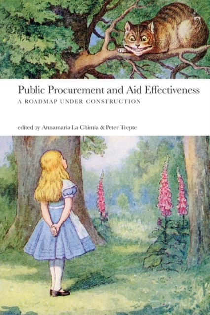 Public Procurement and Aid Effectiveness : A Roadmap Under Construction, PDF eBook
