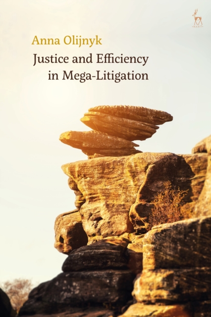 Justice and Efficiency in Mega-Litigation, Paperback / softback Book
